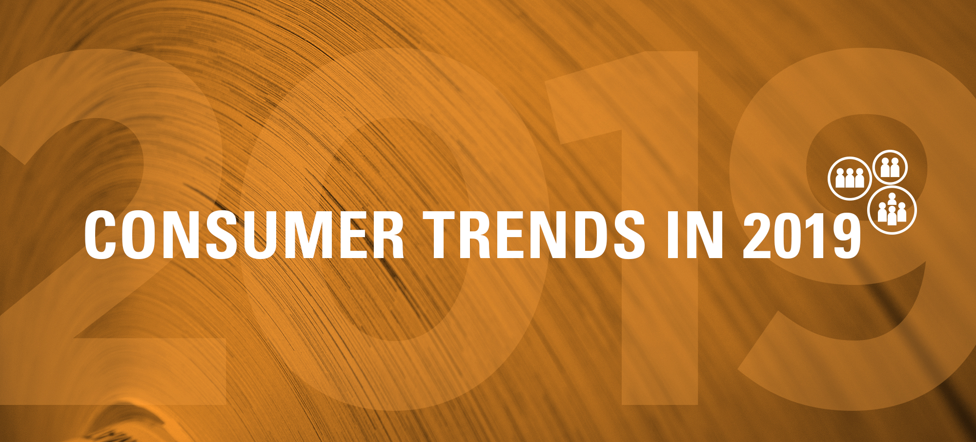 Recognizing Ourselves: Consumer Trends in 2019